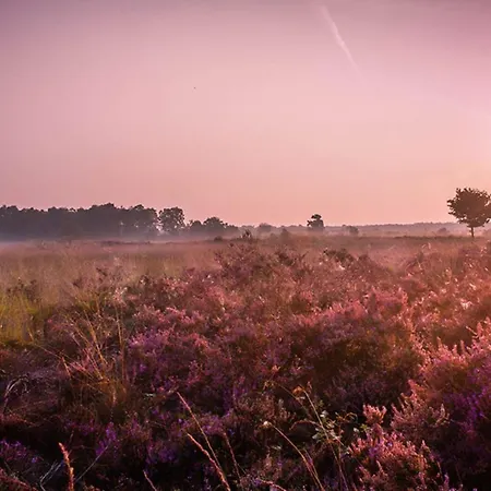 2-persoons Hotellodge *