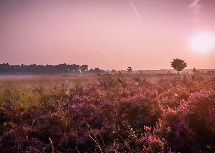 2-persoons Hotellodge *